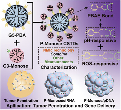 Structural and Property Characterizations of Dual-Responsive Core–Shell Tecto Dendrimers for Tumor Penetration and Gene Delivery Applications