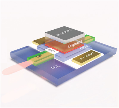 Waveguide-Coupled Colloidal Quantum Dot Light Emitting Diodes and Detectors on a Silicon Nitride Platform