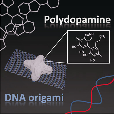 Fabrication of Defined Polydopamine Nanostructures by DNA Origami-Templated Polymerization