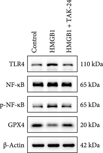 Details are in the caption following the image
