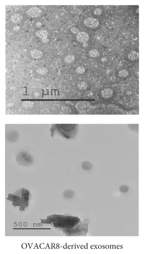 Details are in the caption following the image