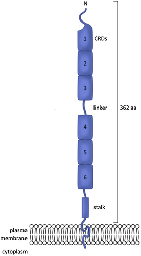 Details are in the caption following the image Details are in the caption following the image