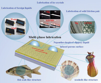 Multiplex Biomimetic SLIPS With Super-Lubricity to Multiphase Matters