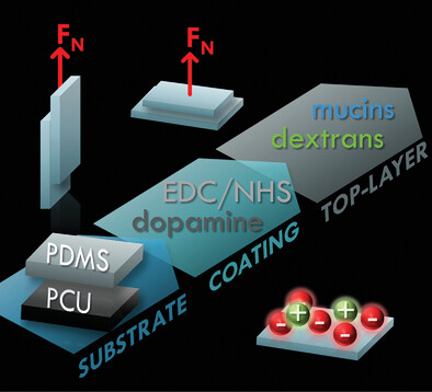Bio-Macromolecular Surface Coatings for Autohesive, Transparent, Elastomeric Foils