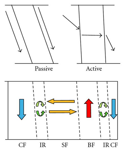 Details are in the caption following the image