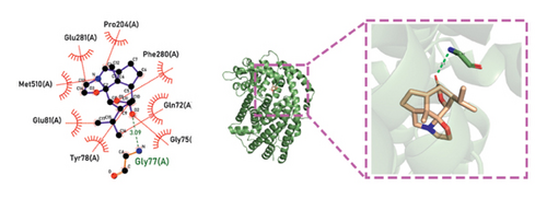Details are in the caption following the image Details are in the caption following the image