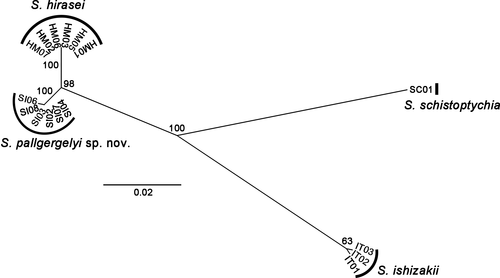 Details are in the caption following the image
