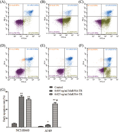 Construction and validation of a novel tumor necrosis factor-related apoptosis-inducing ligand mutant MuR5S4-TR