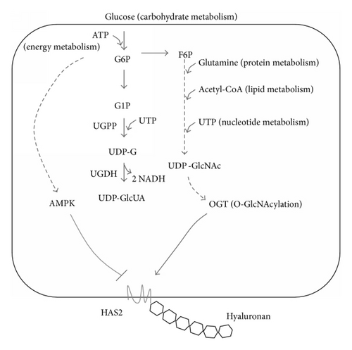 Details are in the caption following the image