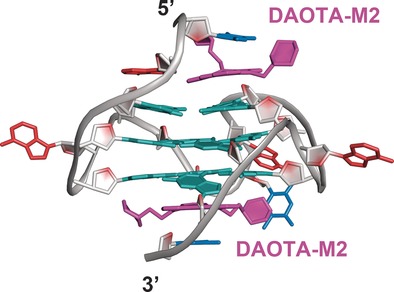 NMR Structure of a Triangulenium-Based Long-Lived Fluorescence Probe Bound to a G-Quadruplex