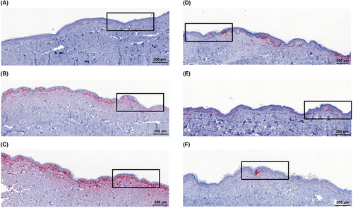 Details are in the caption following the image Details are in the caption following the image