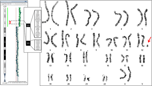Details are in the caption following the image Details are in the caption following the image