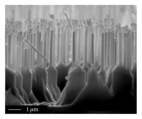 Details are in the caption following the image