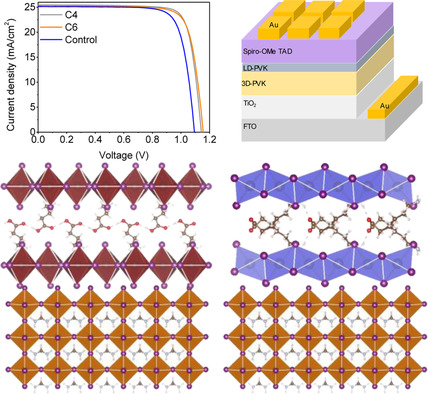 Amino Acid-Based Low-Dimensional Management for Enhanced Perovskite Solar Cells