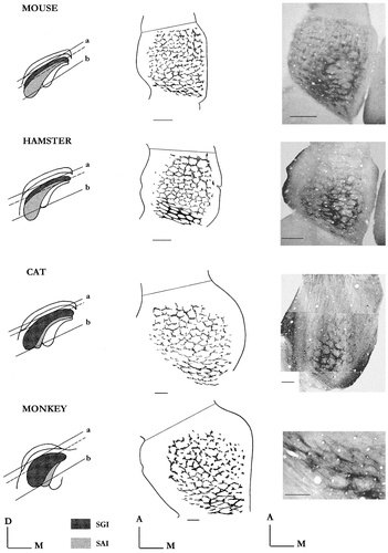 Details are in the caption following the image