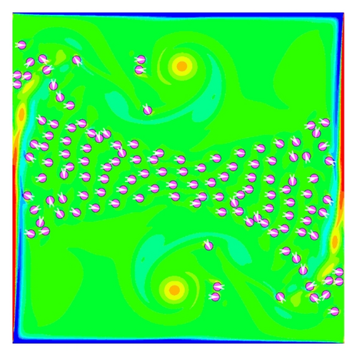 Details are in the caption following the image