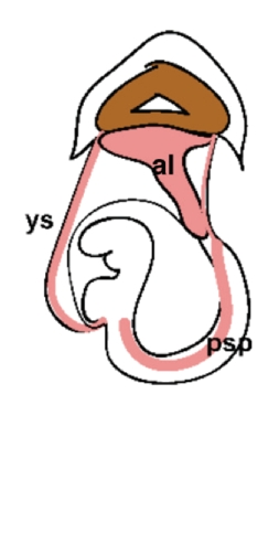Details are in the caption following the image