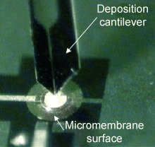 Combining Resonant Piezoelectric Micromembranes with Molecularly Imprinted Polymers