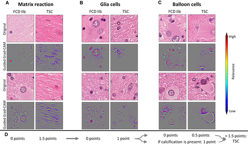 Details are in the caption following the image Details are in the caption following the image