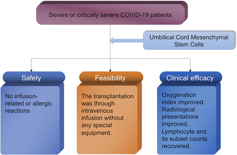 Safety and feasibility of umbilical cord mesenchymal stem cells in patients with COVID-19 pneumonia: A pilot study