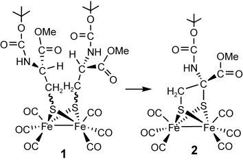 An Unusual Cyclization in a Bis(cysteinyl-S) Diiron Complex Related to the Active Site of Fe-Only Hydrogenases