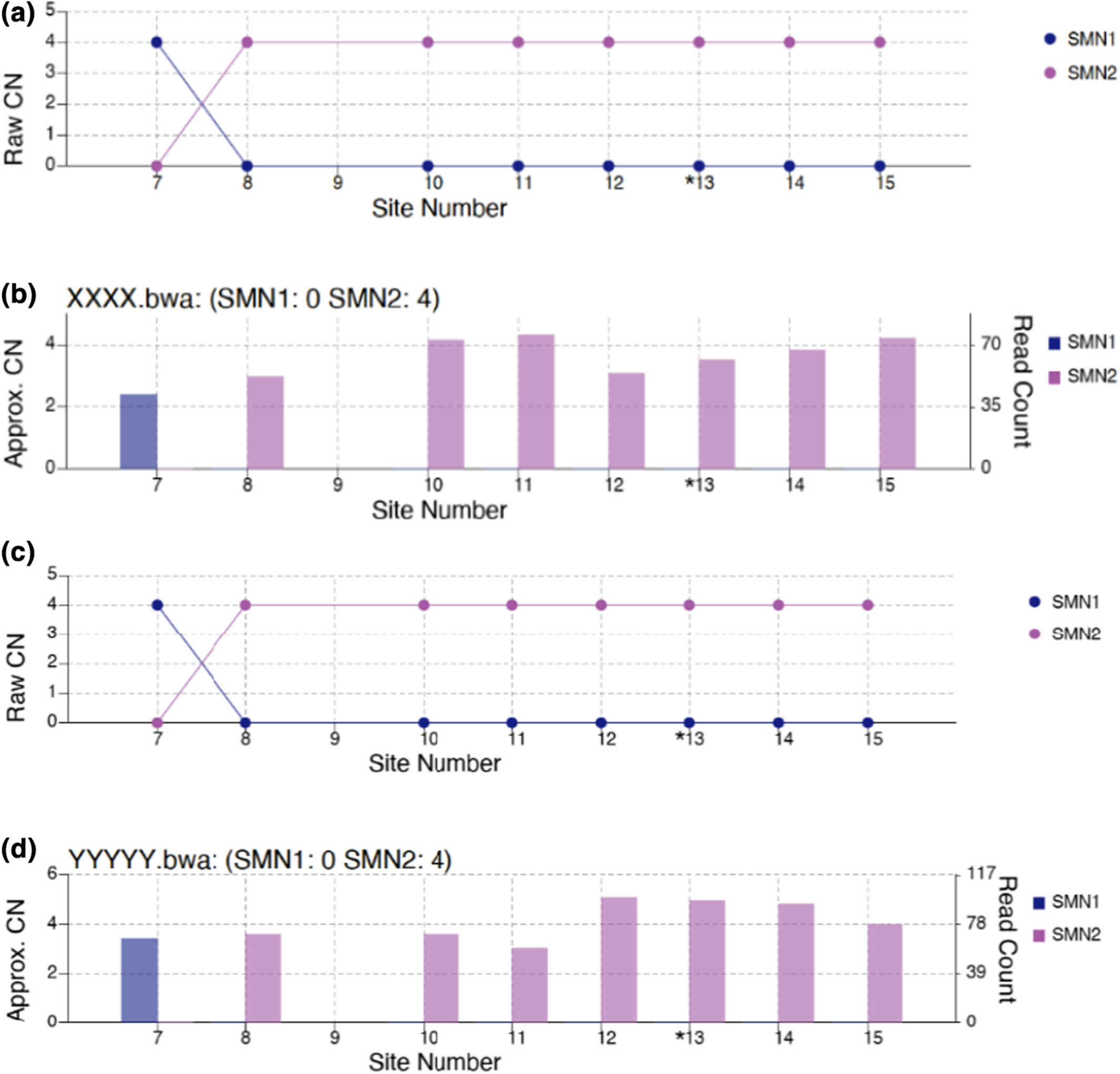 Studying carrier frequency of spinal muscular atrophy in the State of Qatar and comparison to other ethnic groups: Pilot study
