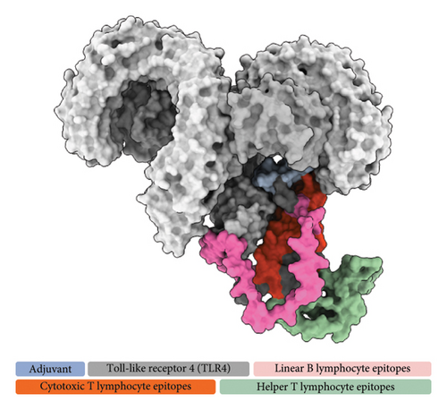 Details are in the caption following the image Details are in the caption following the image