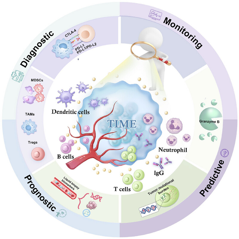Deciphering the tumor immune microenvironment: Microscale measurements for precision detection and multidimensional analysis