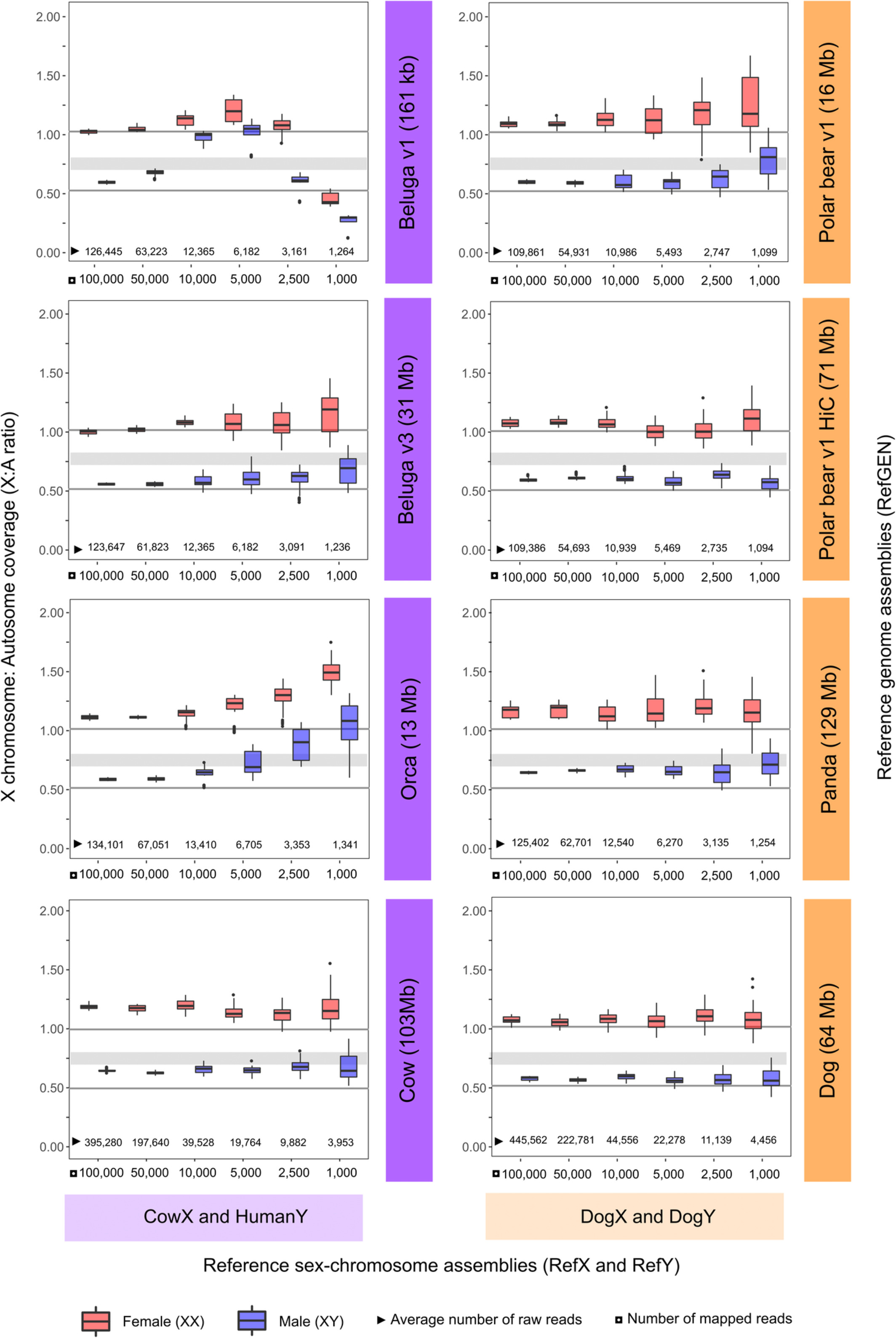 How low can you go? Introducing SeXY: sex identification from low-quantity sequencing data despite lacking assembled sex chromosomes