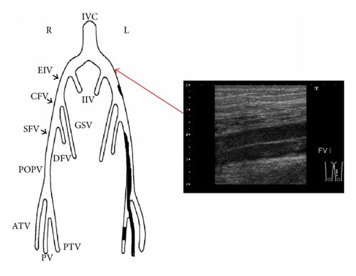 Details are in the caption following the image
