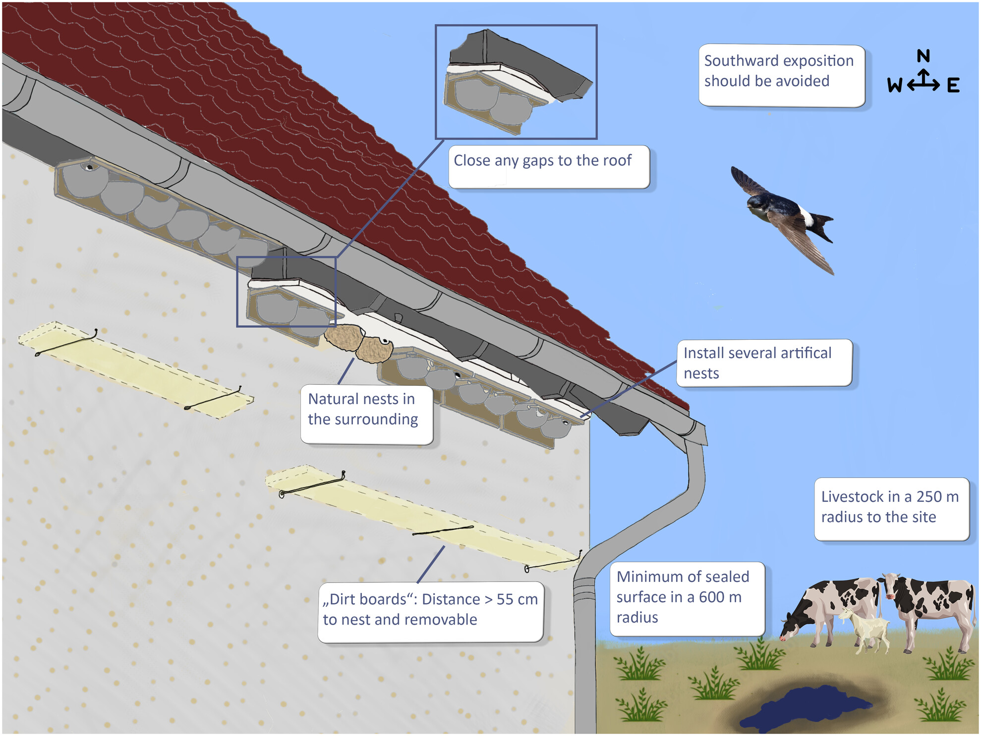 Landscape structure and site characteristics influence whether the northern house martin Delichon urbicum occupies artificial nests