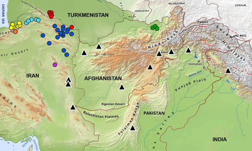 Details are in the caption following the image Details are in the caption following the image