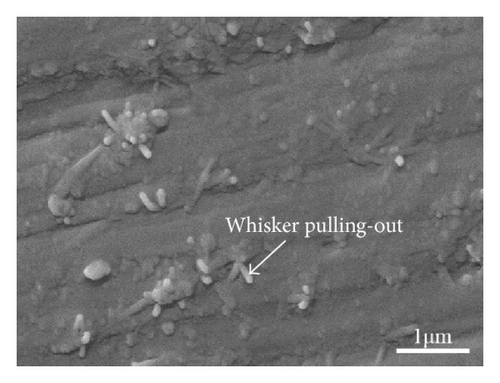 Details are in the caption following the image