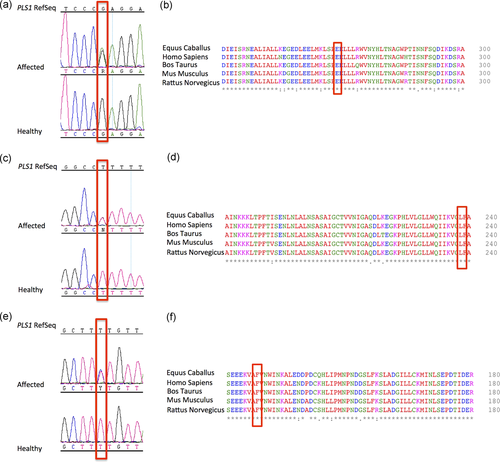 Details are in the caption following the image Details are in the caption following the image