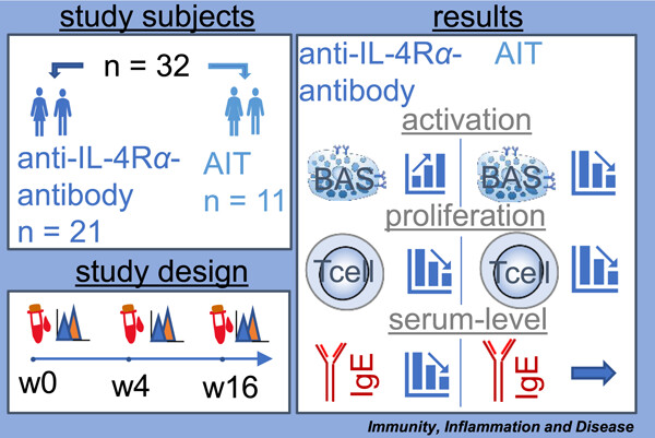 Differences in allergen-specific basophil activation and T cell proliferation in atopic dermatitis patients with comorbid allergic rhinoconjunctivitis treated with a monoclonal anti-IL-4Rα antibody or allergen-specific immunotherapy