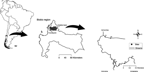 Details are in the caption following the image