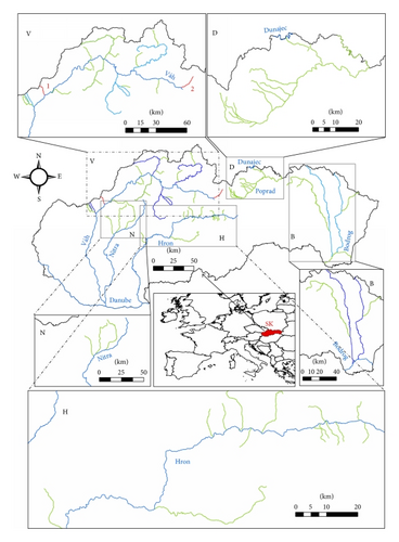Details are in the caption following the image Details are in the caption following the image