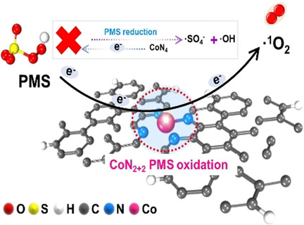 Almost 100 % Peroxymonosulfate Conversion to Singlet Oxygen on Single-Atom CoN2+2 Sites