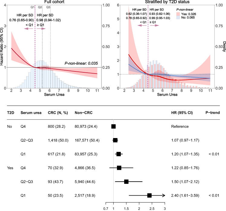 Association between serum urea concentrations and the risk of colorectal cancer, particularly in individuals with type 2 diabetes: A cohort study