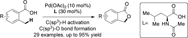 Synergistic Palladium-Catalyzed C(sp3)<span class='icomoon'></span>H Activation/C(sp3)<span class='icomoon'></span>O Bond Formation: A Direct, Step-Economical Route to Benzolactones