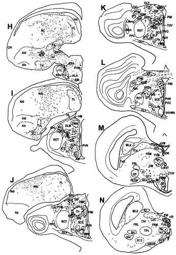 Details are in the caption following the image