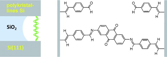 Synthesis of Covalently Linked Molecular Bridges between Silicon Electrodes in CMOS-Based Arrays of Vertical Si/SiO2/Si Nanogaps