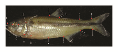 Details are in the caption following the image