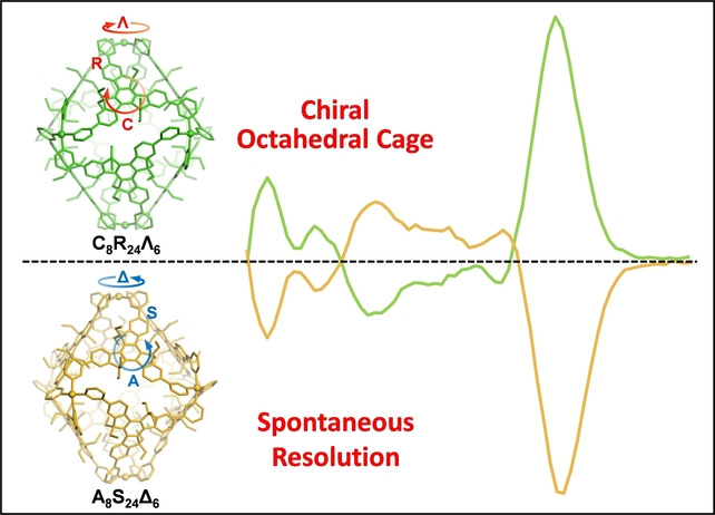 Metallo-Supramolecular Octahedral Cages with Three Types of Chirality towards Spontaneous Resolution
