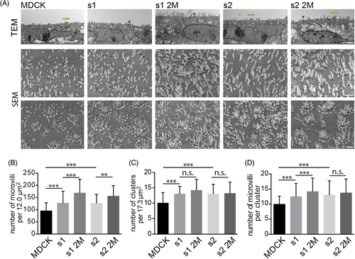 Details are in the caption following the image Details are in the caption following the image