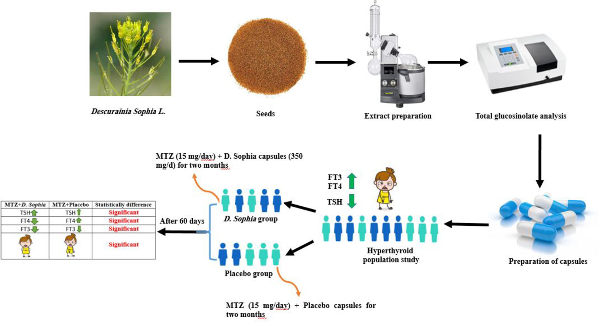 Evaluation of the therapeutic effect of Descurainia sophia (L.) Webb ex Prantl seed extract on hyperthyroidism: A double-blind placebo-controlled pilot clinical trial