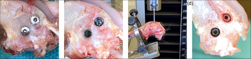 Details are in the caption following the image Details are in the caption following the image