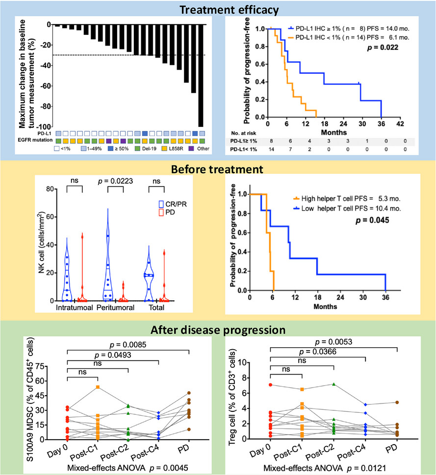 Atezolizumab, bevacizumab, pemetrexed and platinum for EGFR-mutant NSCLC patients after EGFR TKI failure: A phase II study with immune cell profile analysis