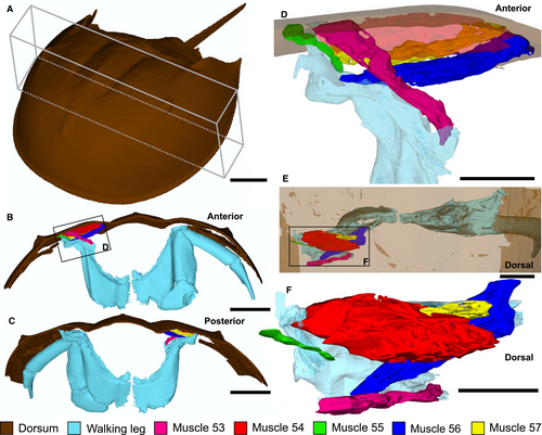 Details are in the caption following the image Details are in the caption following the image