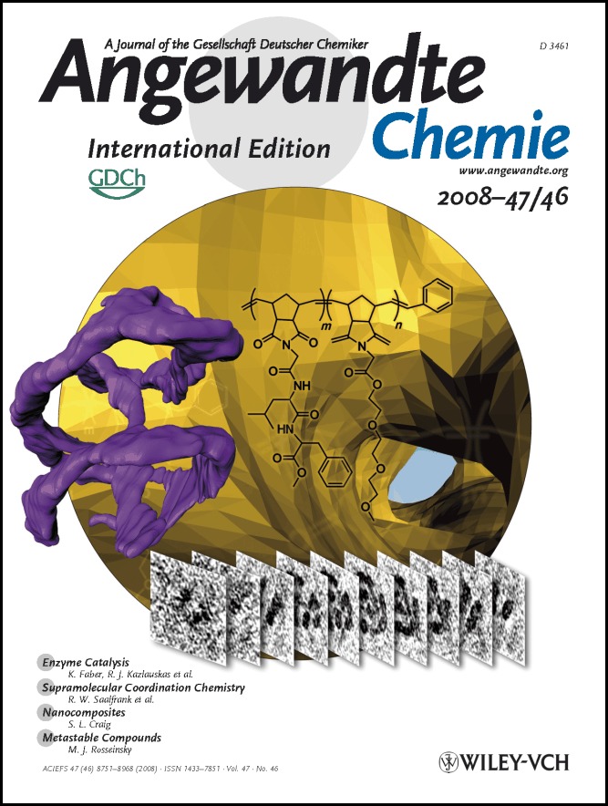 Cover Picture: Cryo Electron Tomography Reveals Confined Complex Morphologies of Tripeptide-Containing Amphiphilic Double-Comb Diblock Copolymers (Angew. Chem. Int. Ed. 46/2008)